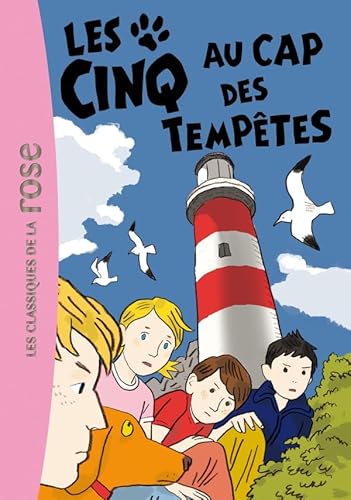 Les Cinq au cap des tempêtes