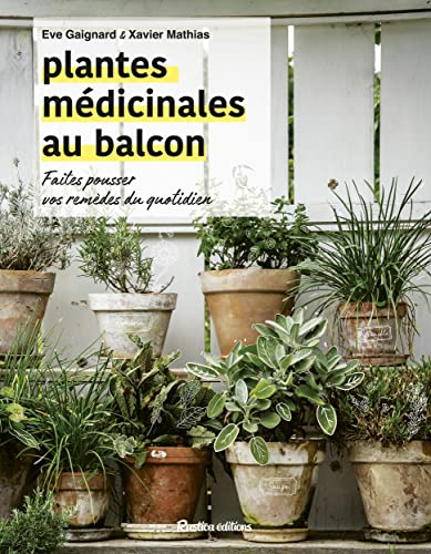 Plantes médicinales au balcon