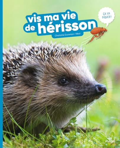 Vis ma vie de hérisson